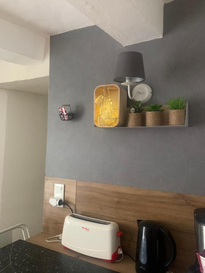 La Petite Adresse De Rose Maison De Vacances Entree Autonome Le Poujol-sur-Orb Kültér fotó
